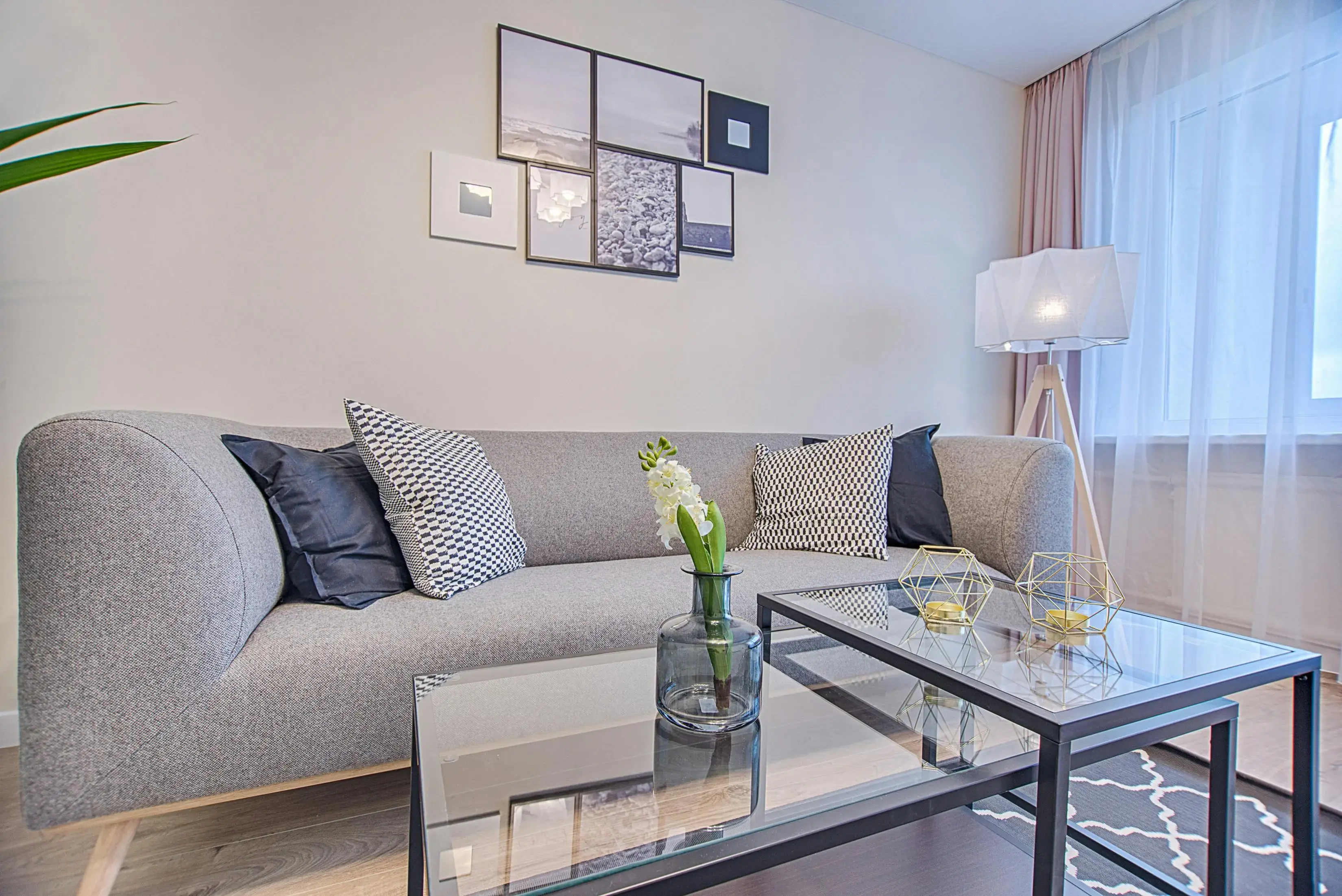 Modern Living Room